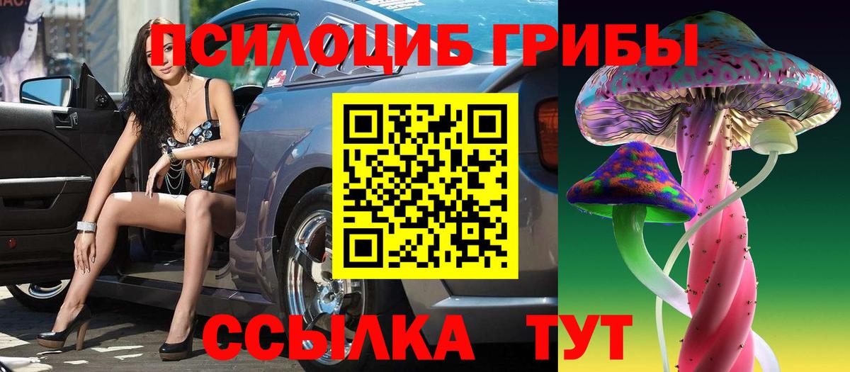 купить закладку  Псилоцибиновые грибы ЛСД  Вход с VPN  Кунгур  Галлюциногенные грибы Psilocybe 