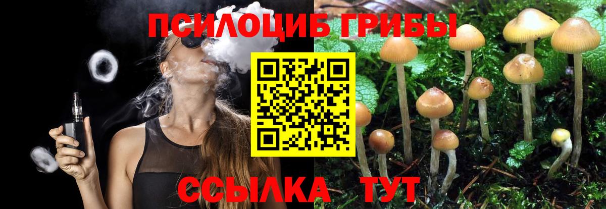 Псилоцибиновые грибы Cubensis Кунгур